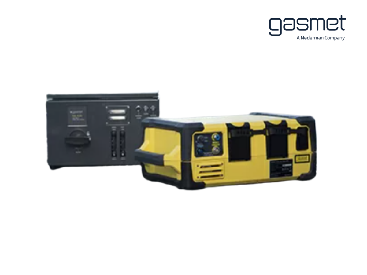 Portable Gas Analyzer for Stack